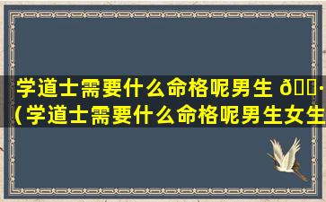 学道士需要什么命格呢男生 🕷 （学道士需要什么命格呢男生女生）